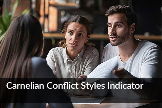 Carnelian Conflict Styles Indicator Single Purchase