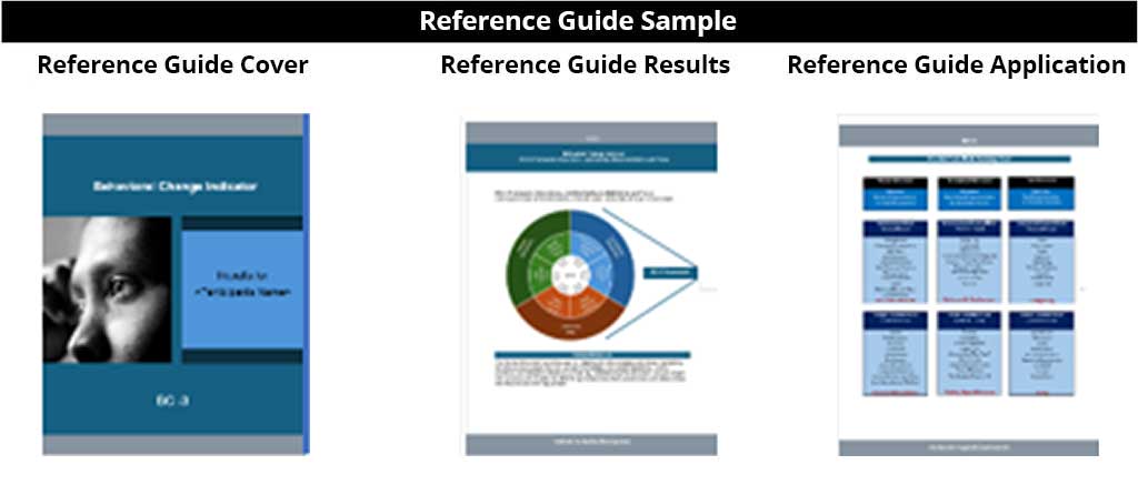 BCI Assessment